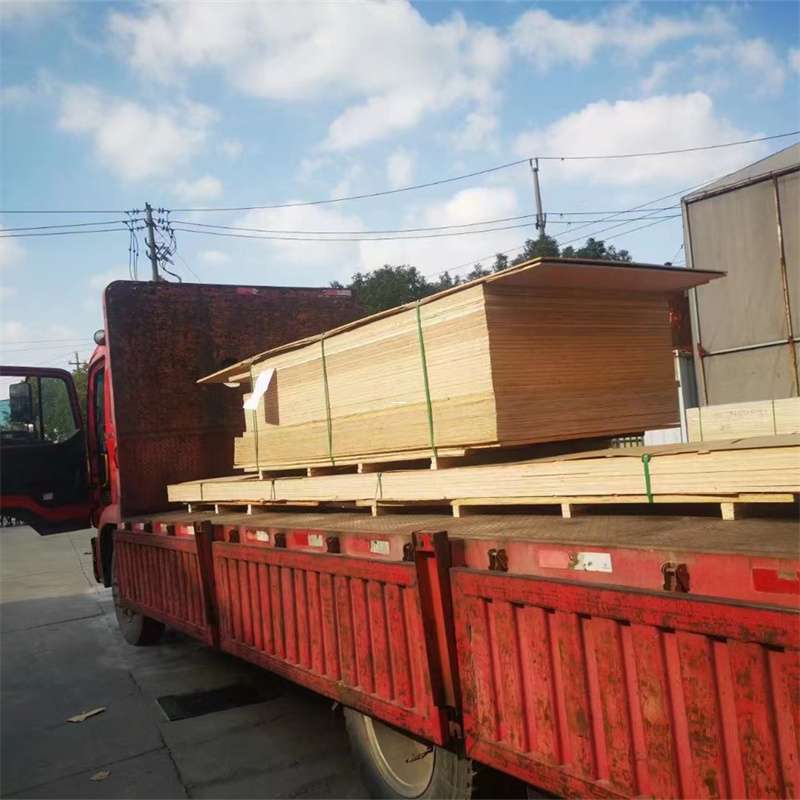 登封市桥西区物流专线的多元运输世界